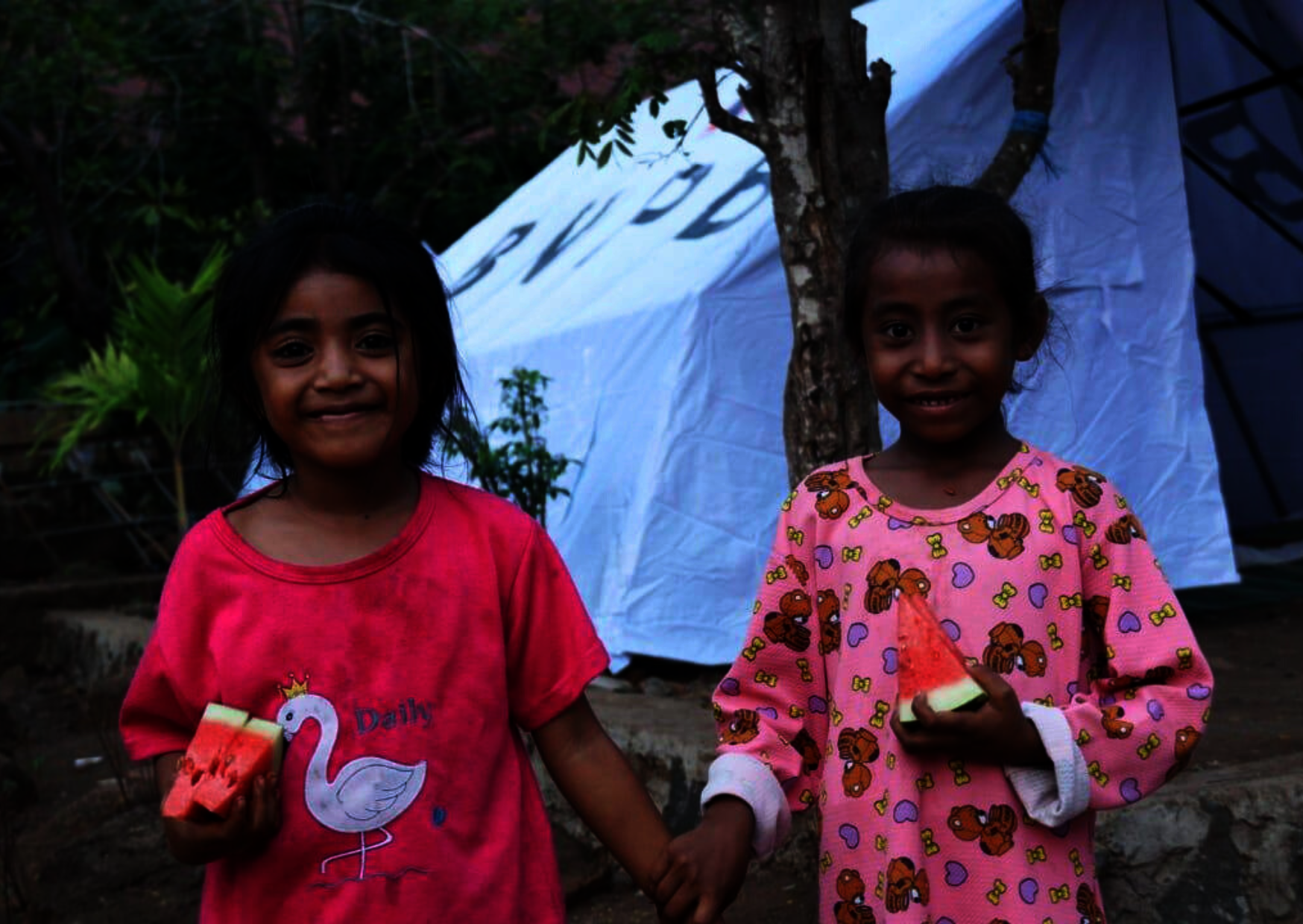 Mt Lewotobi - Flores Emergency Response