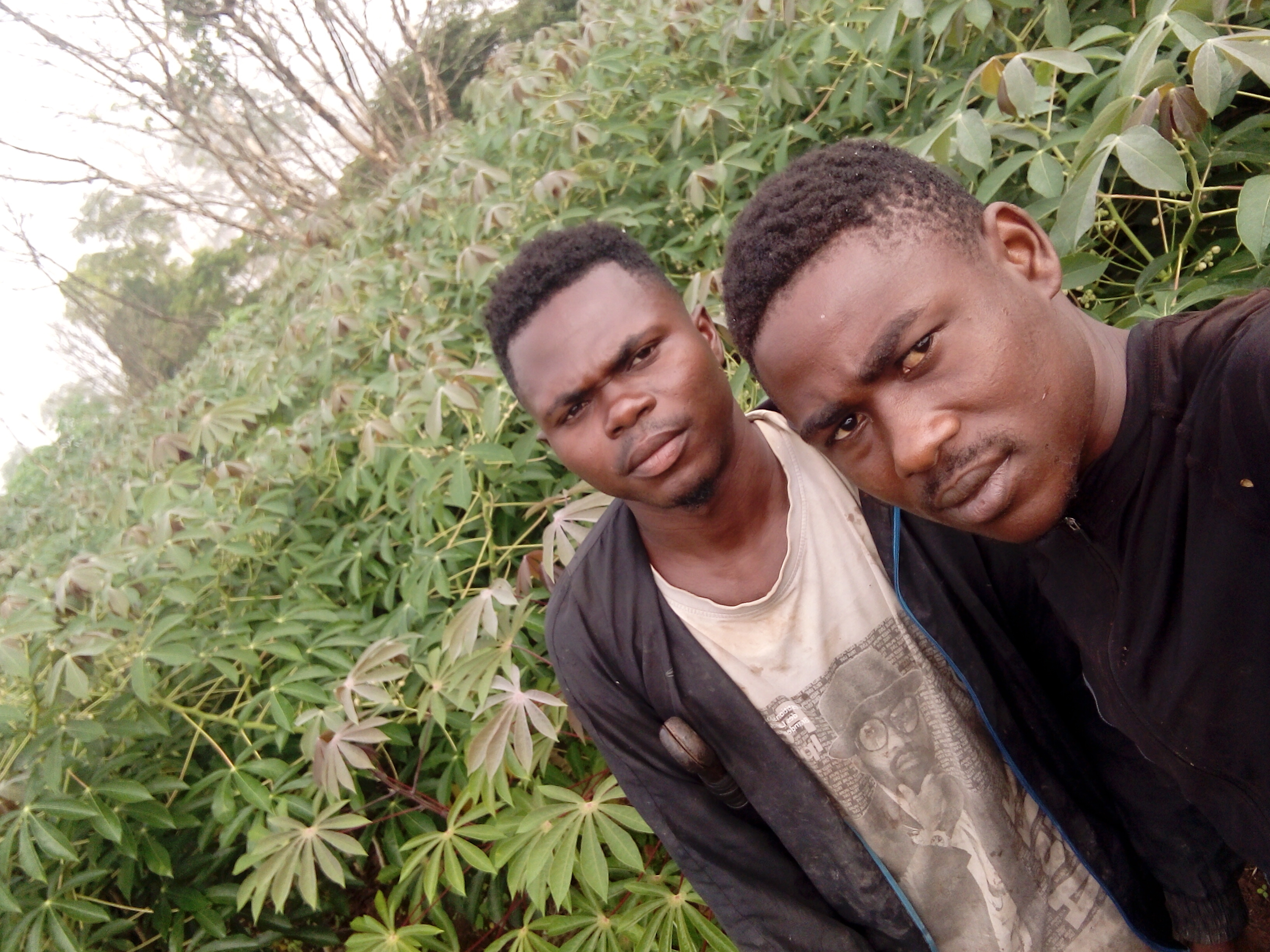 Garri Processing for 100 Youths from Slums Bertoua