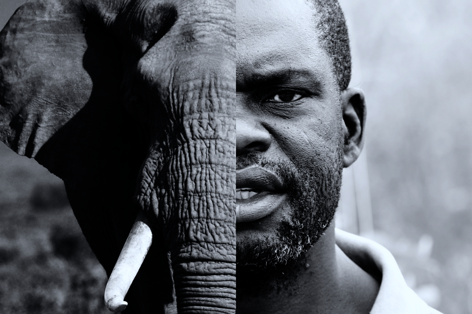Elephants Alive Shepherd Program