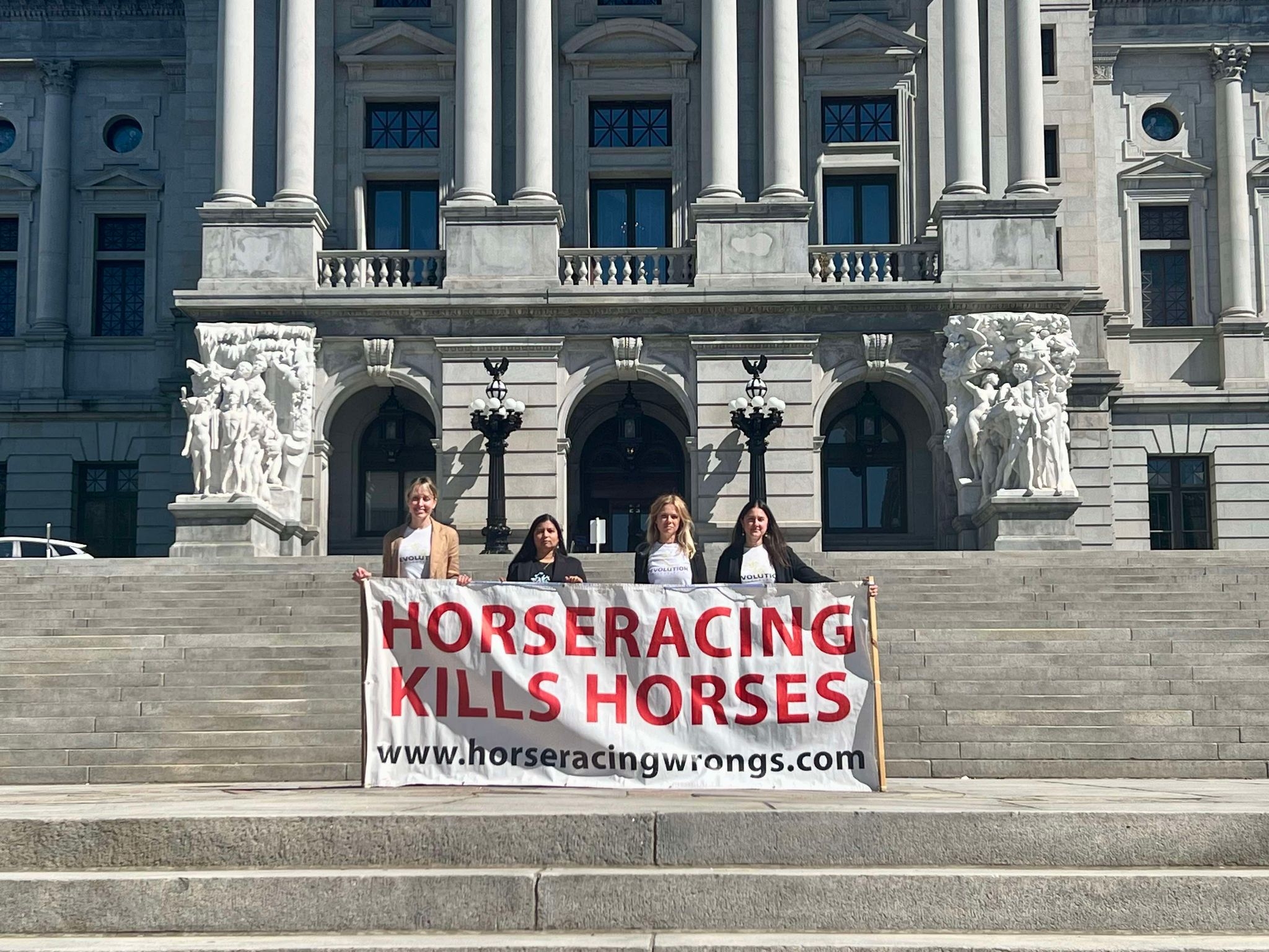Protect Horses with Nationwide Advocacy Campaigns