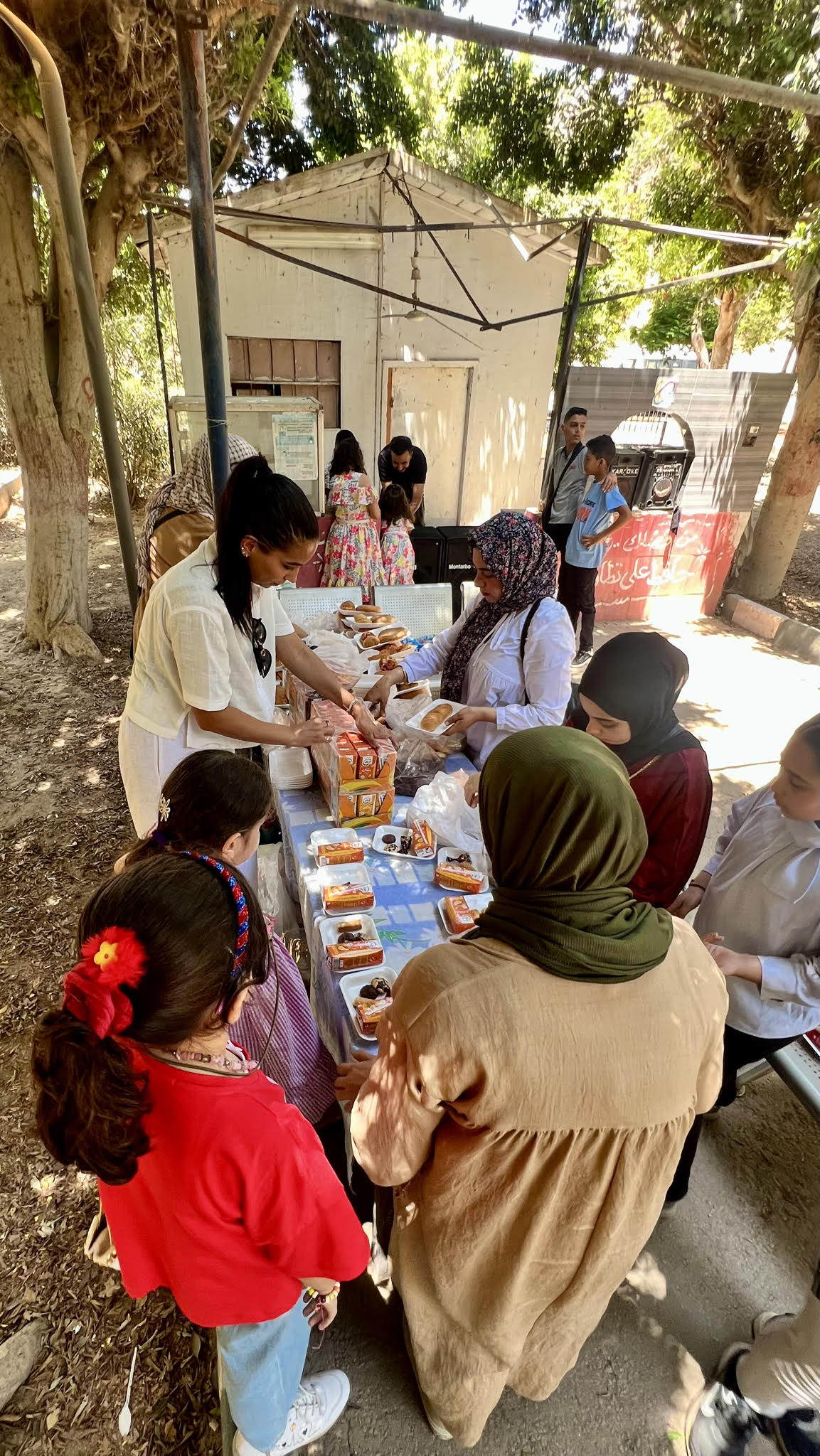 Essential support for displaced Palestinians