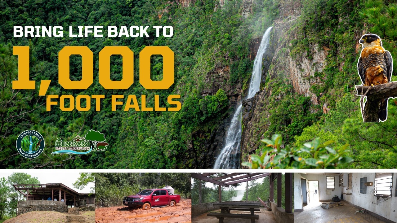 Bring Life Back to 1000 Foot Falls