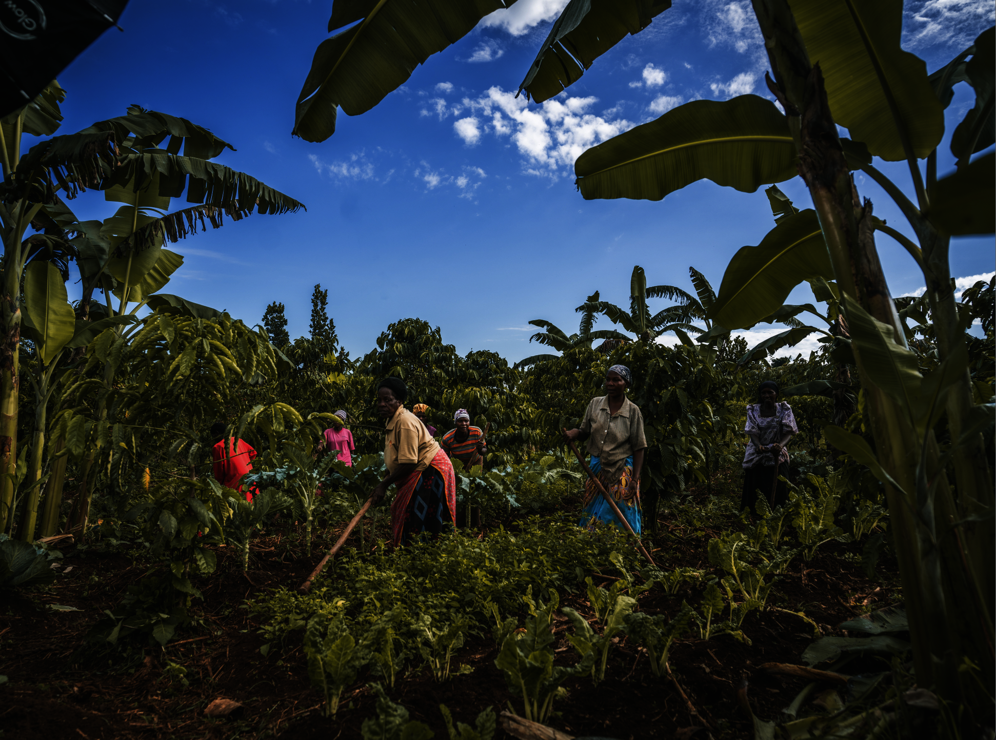 Empowerment Center and Demonstration Farm
