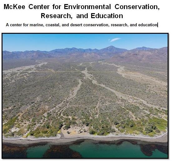 Nurturing environmental values in BCS Mexico