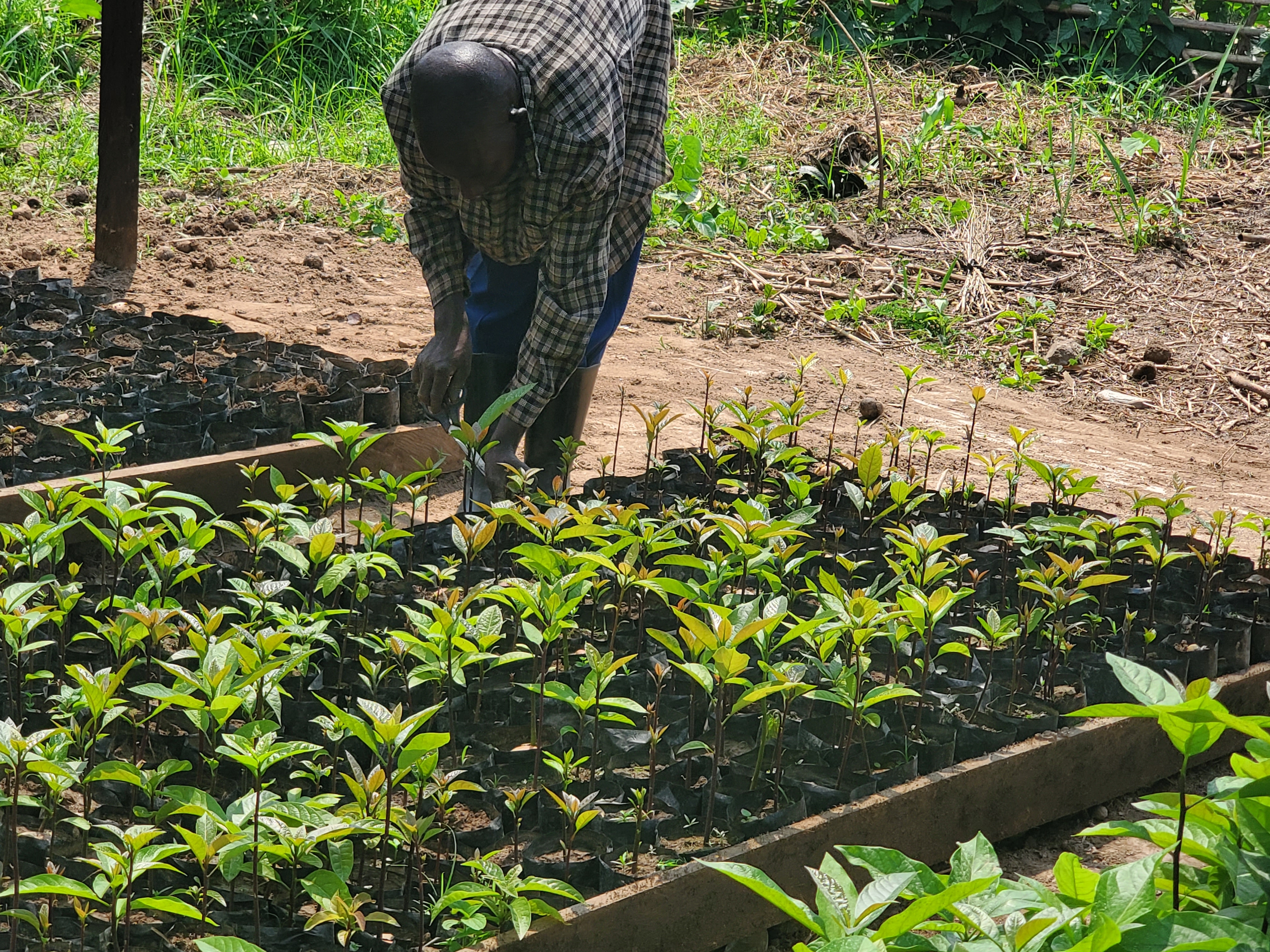 L'AGRICULTURE POUR L'AUTONISMISATION DES FEMMES
