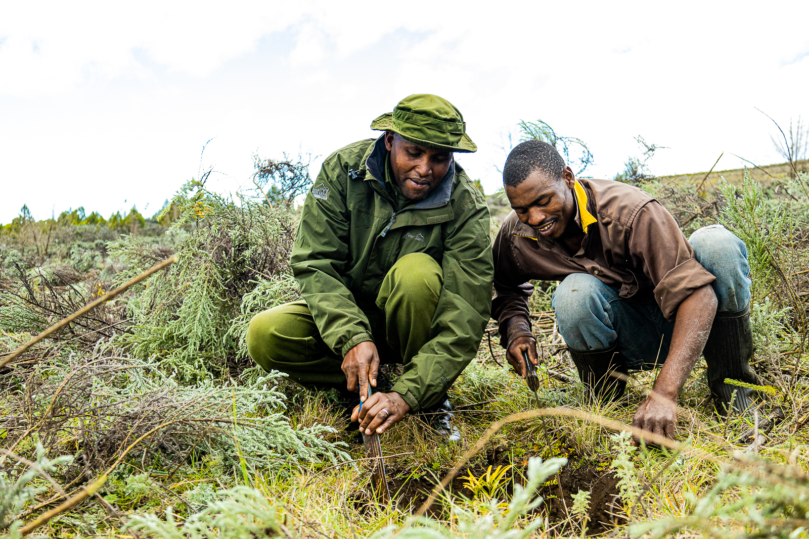 Grow Forests, Grow Communities In Mount Kenya
