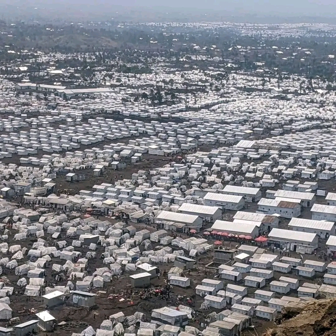 Rebuild North Kivu: Support 42000 displaced people