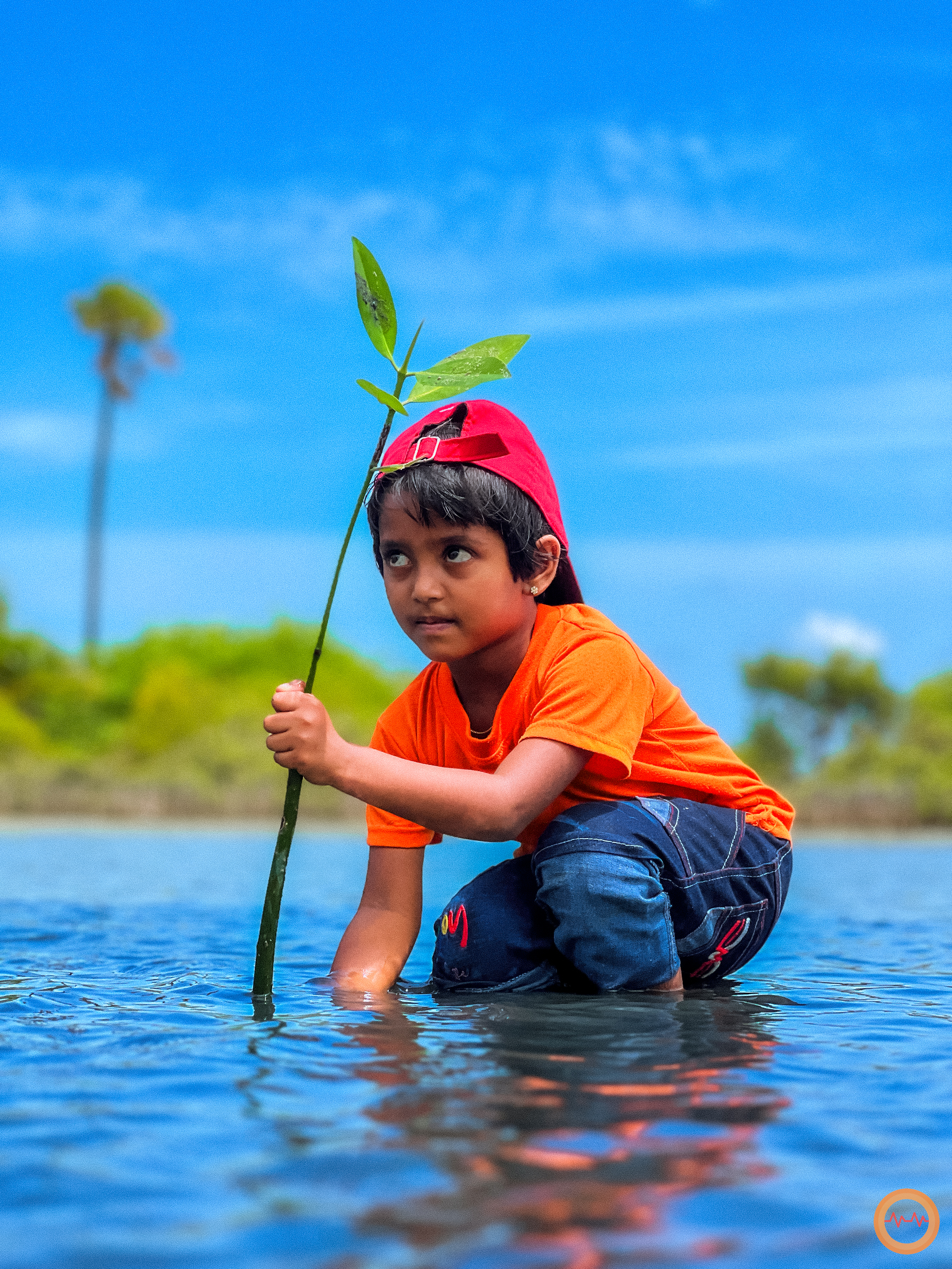 Restore Trees & Mangroves for a Greener Sri Lanka