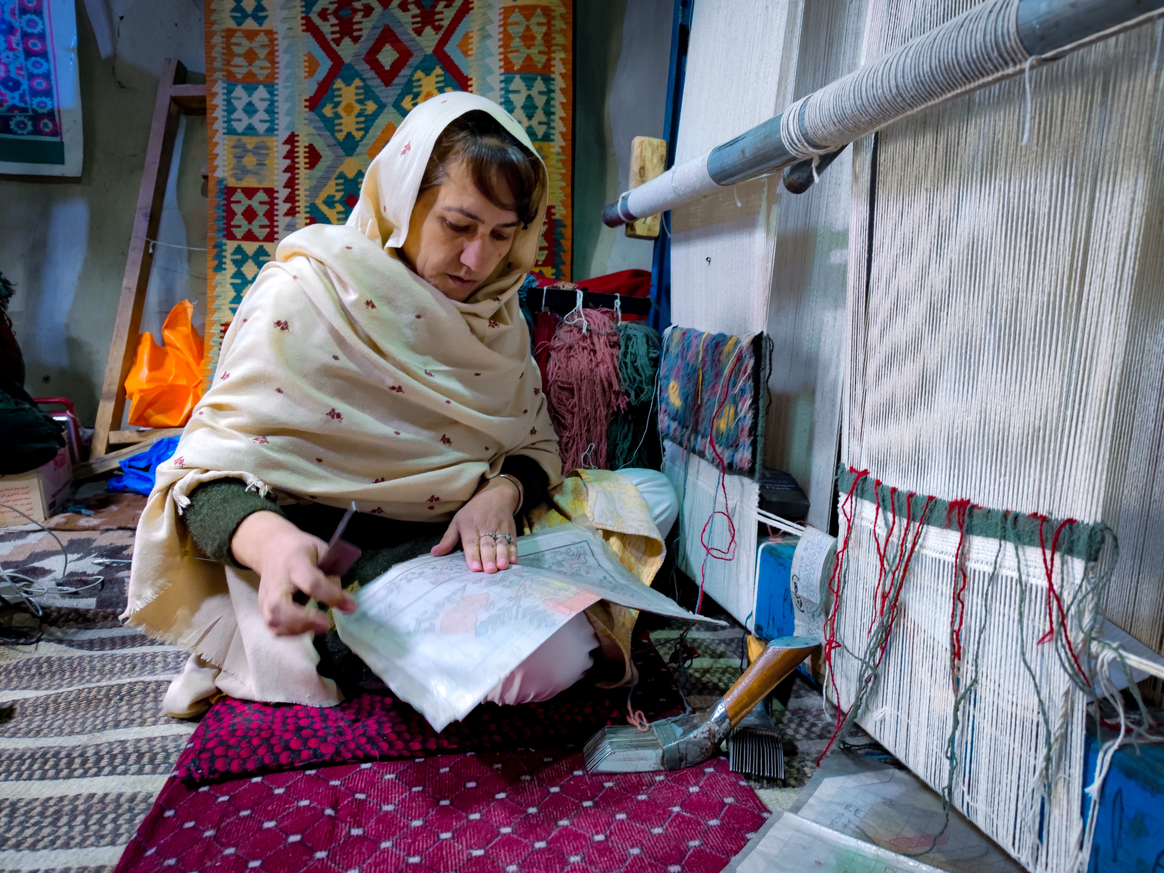 Provide Food to Needy Families