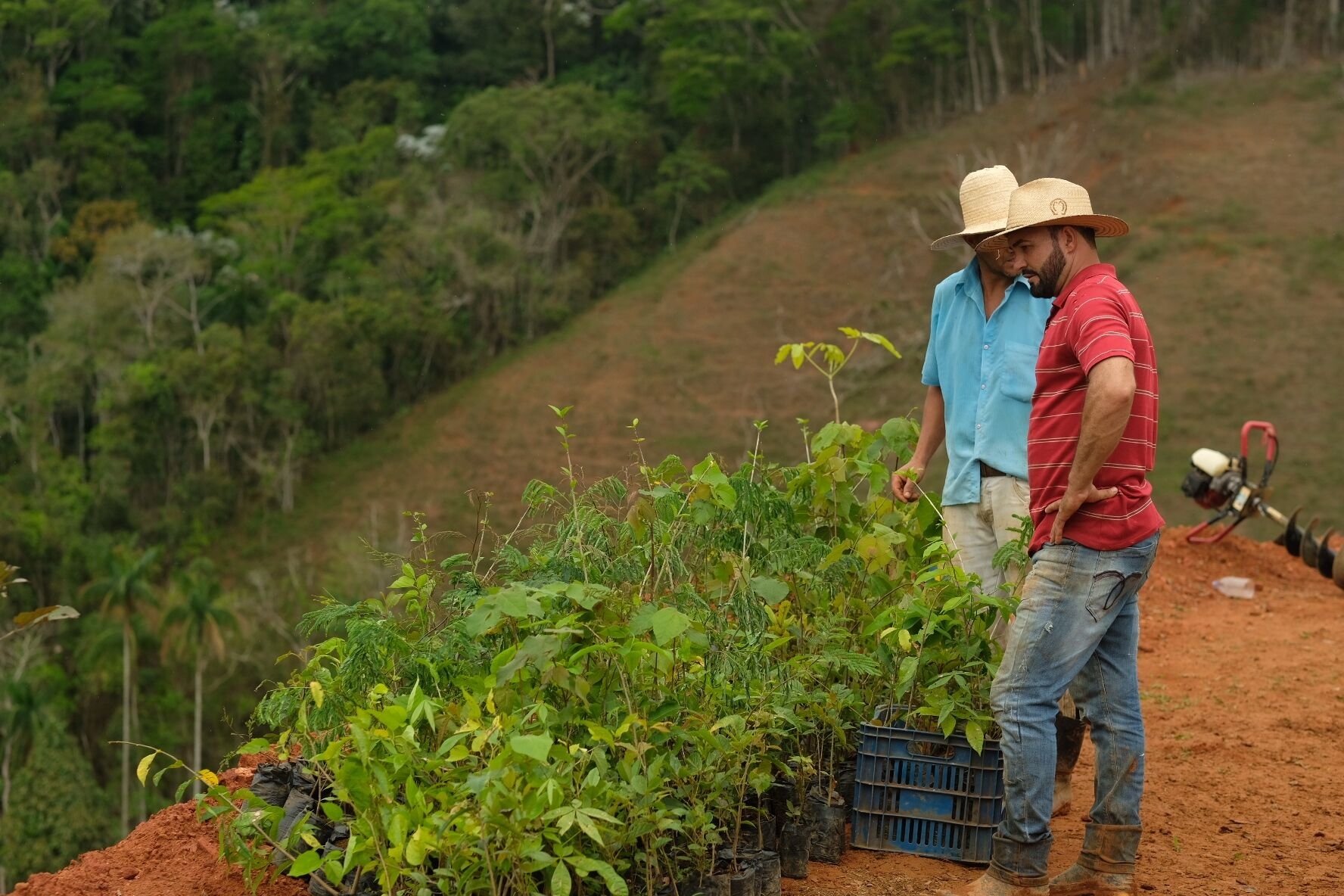 Forests4Water - Forests Forever