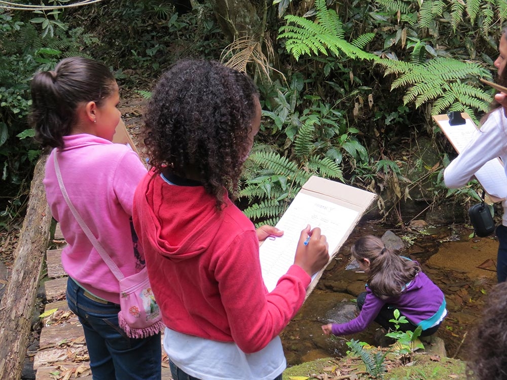 Young  EcoLeaders Protecting the Rainforest