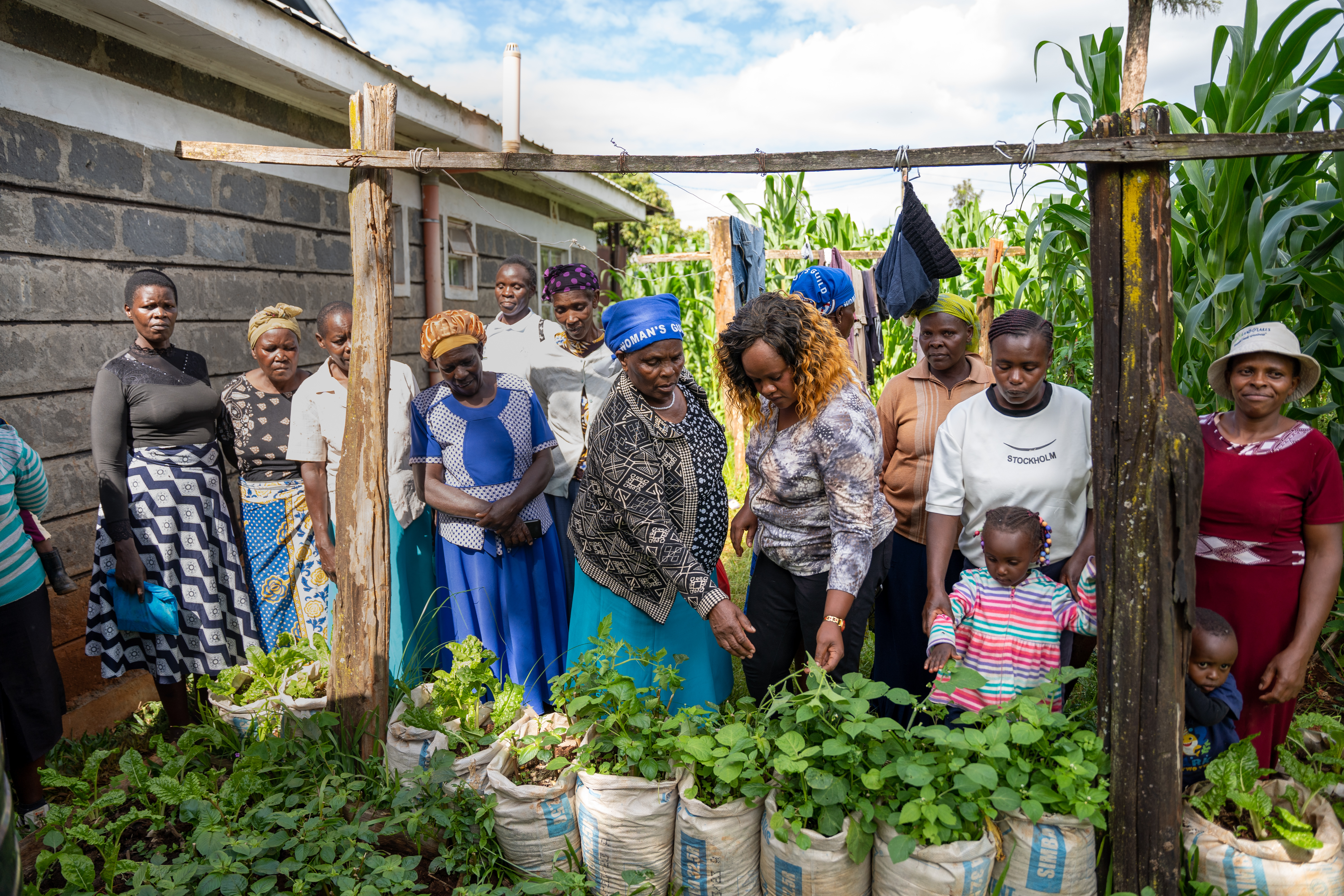 Boosting Food Security and Health for 7375 Kenyans