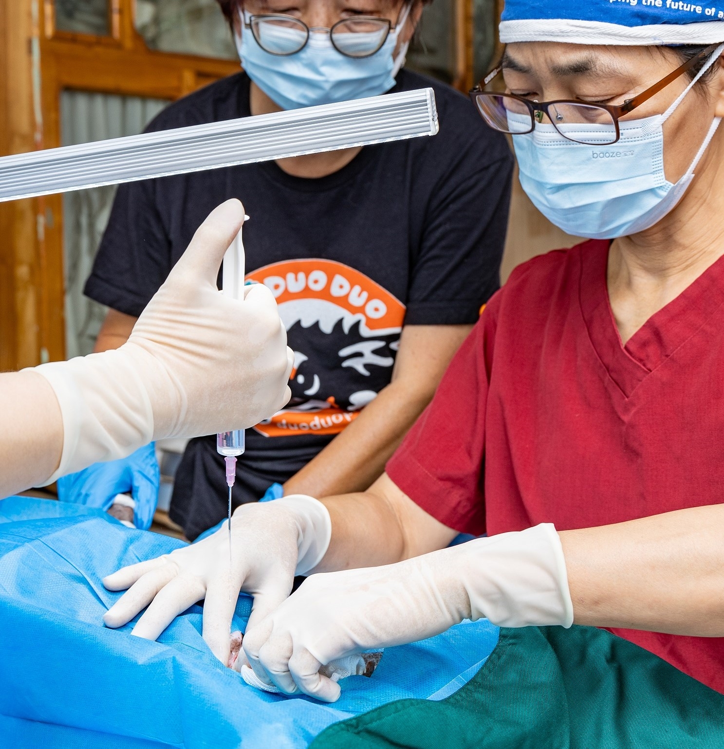 Growing Our Spay/Neuter Initiative in China