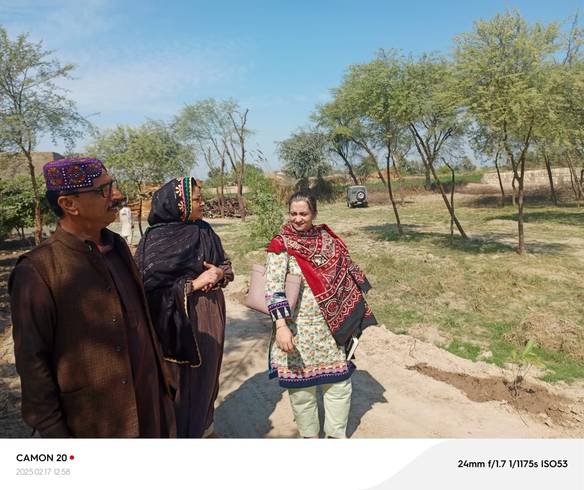 Urban Forestation - Sukkur (UHI)