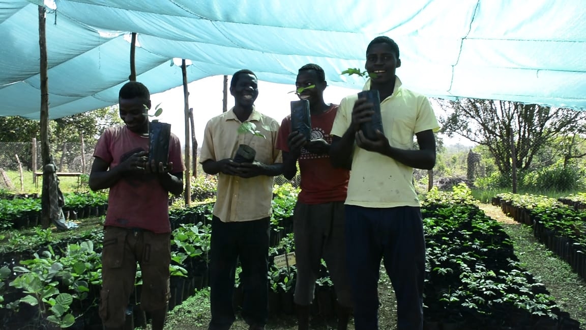 Trees for Mozambique: Give Wildlife a Home