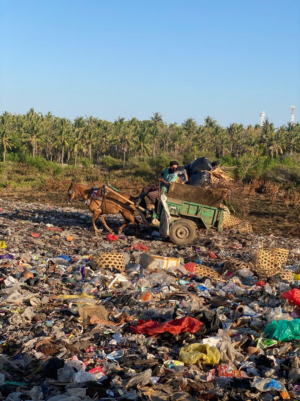 Pony Retirement Fund: Time for the Heroes to Rest