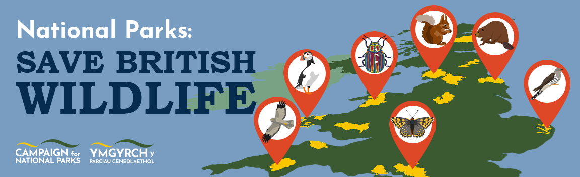 Save Wildlife in British National Parks