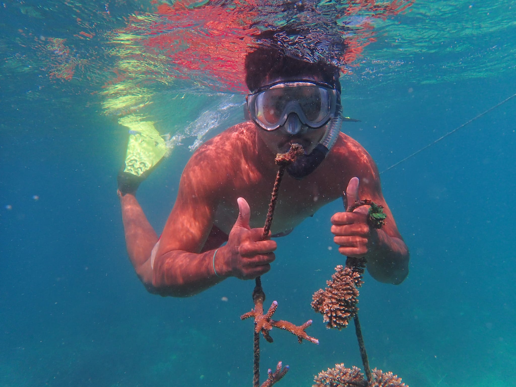 Rebuilding reefs and livelihoods in PNG