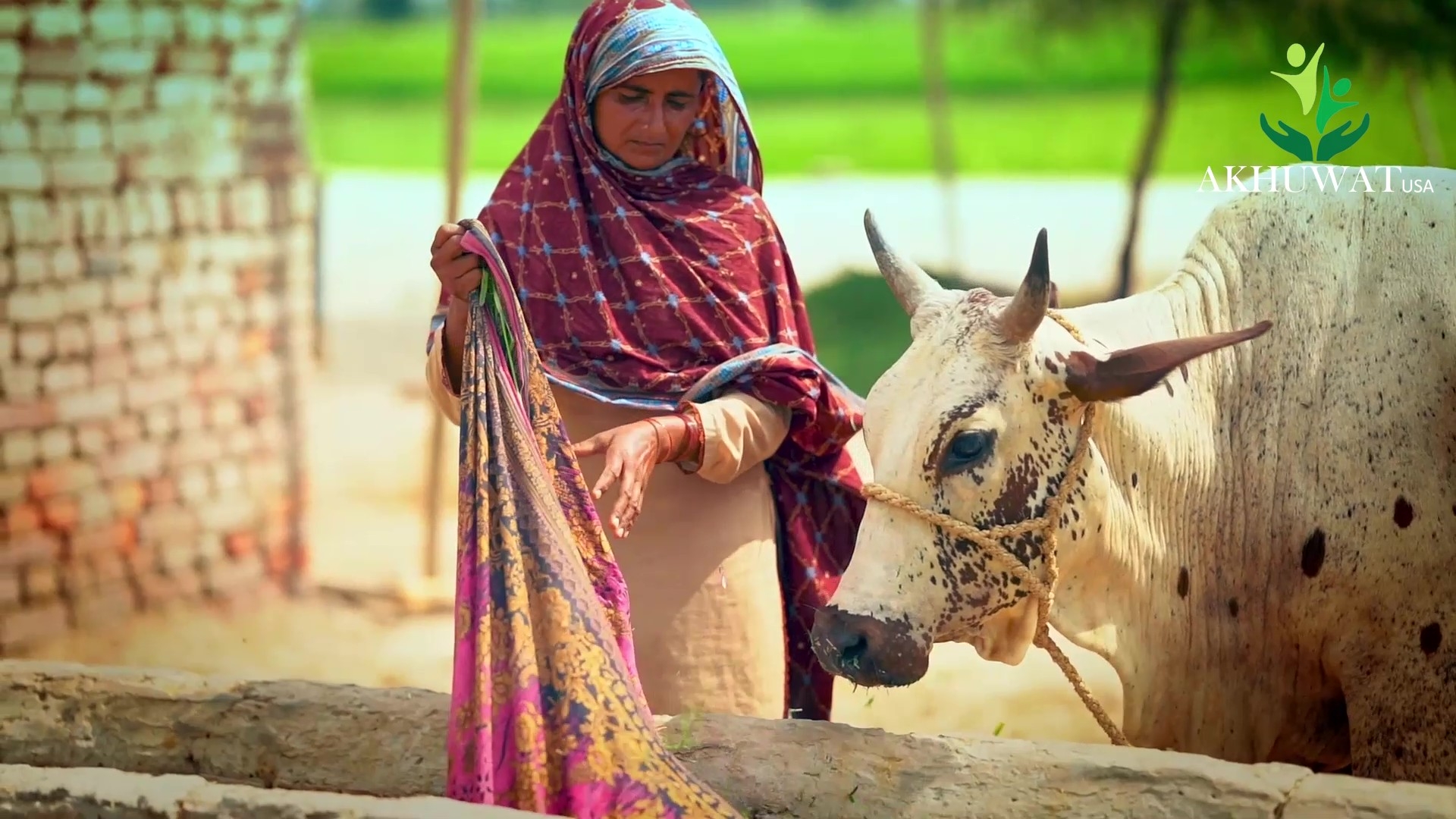 Thriving Women-Led Small Businesses