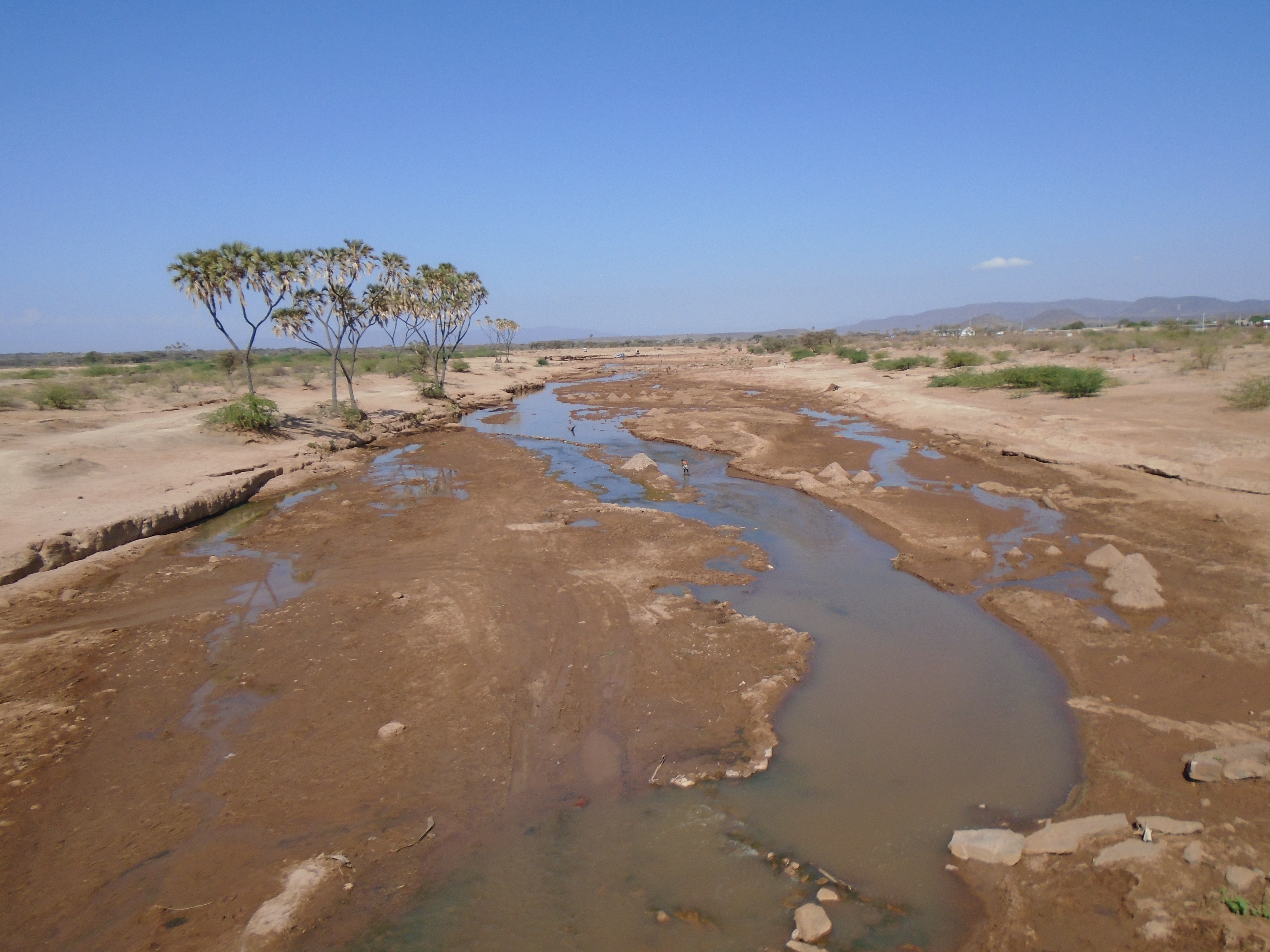 East African Circular Economy Pilots 1: Scoping