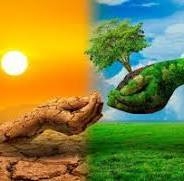 ONE CRORE TREE PLANTING PROGRAM TO SAVE OUR EARTH