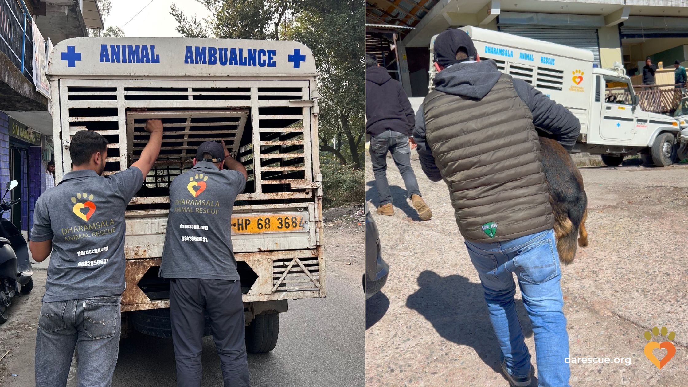 New Mahindra Jeep Needed for Street Dogs