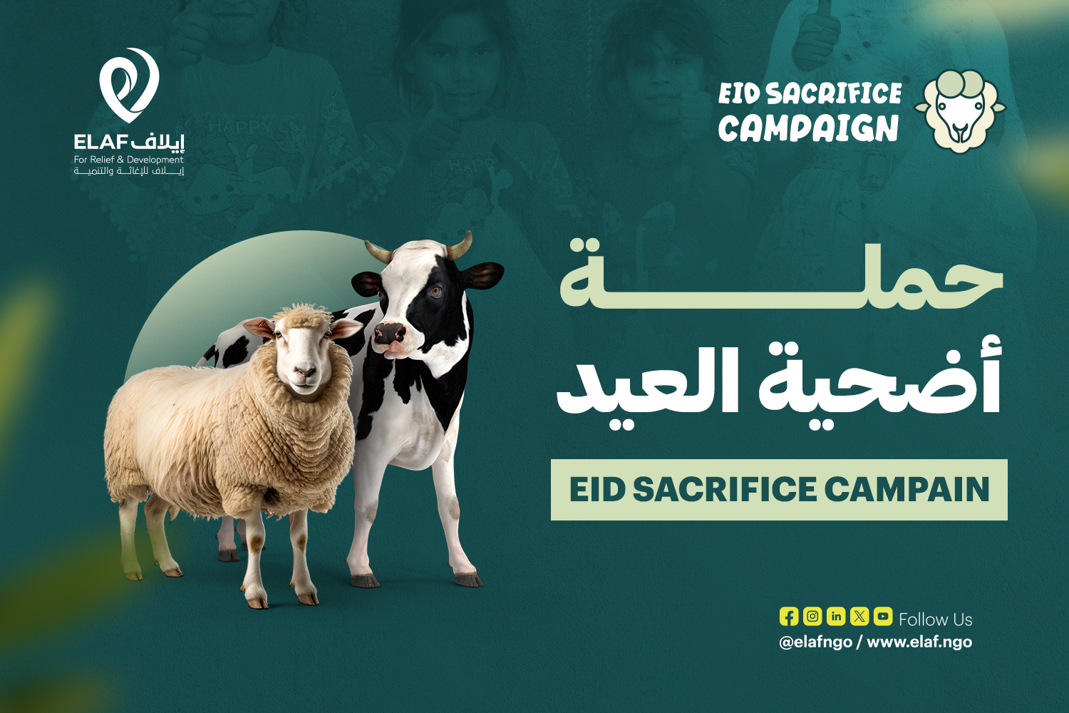 Qurbani for Syria 2025: Your Sacrifice, Their Hope