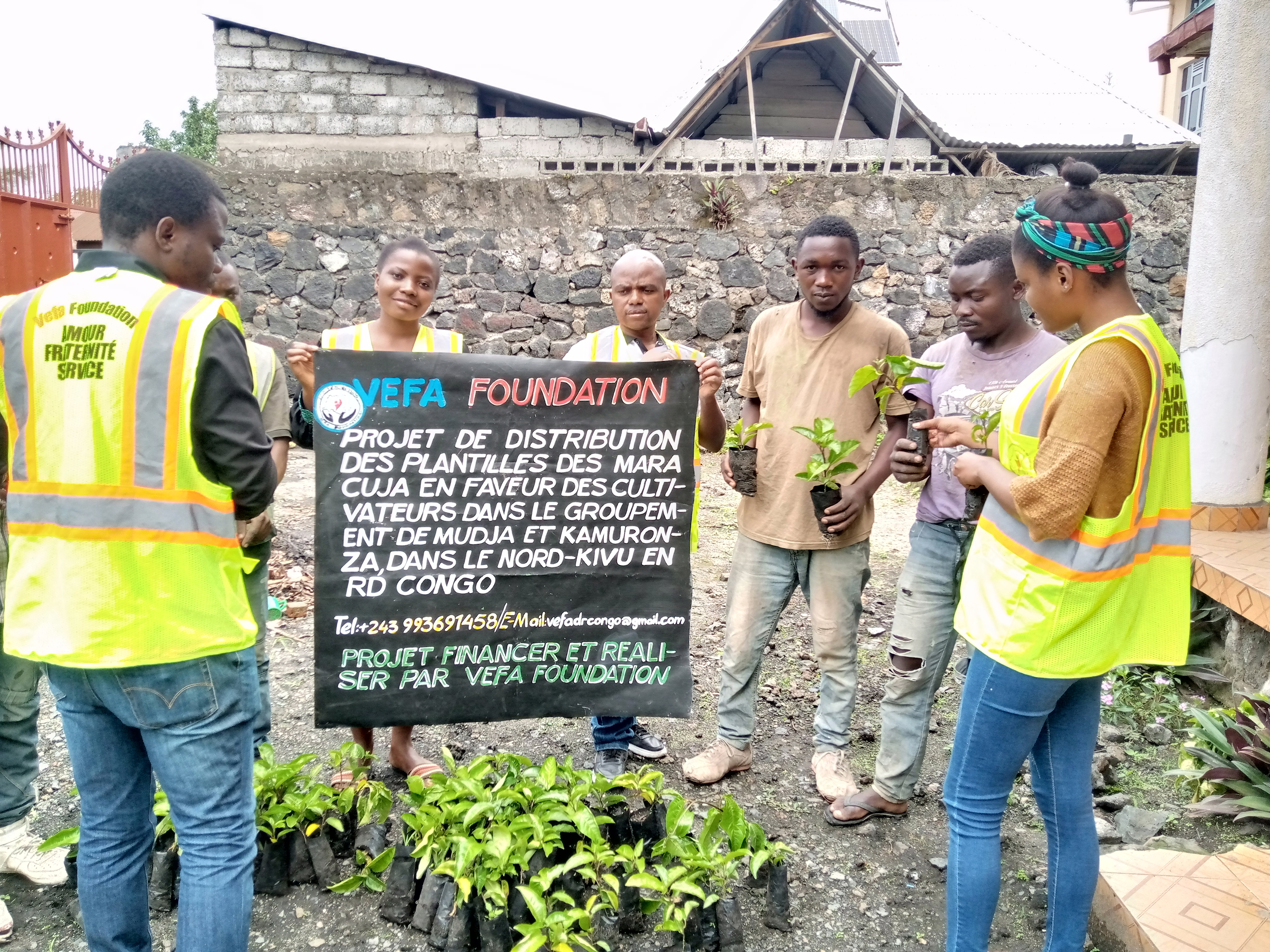 Plant Trees in Goma to Fight Climate Change