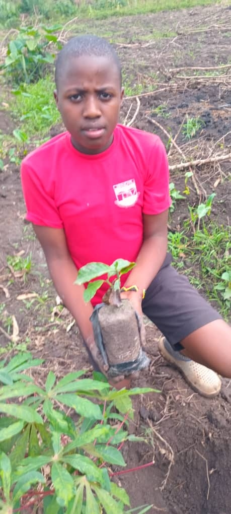 Help Children Grow Crops For Sustainability
