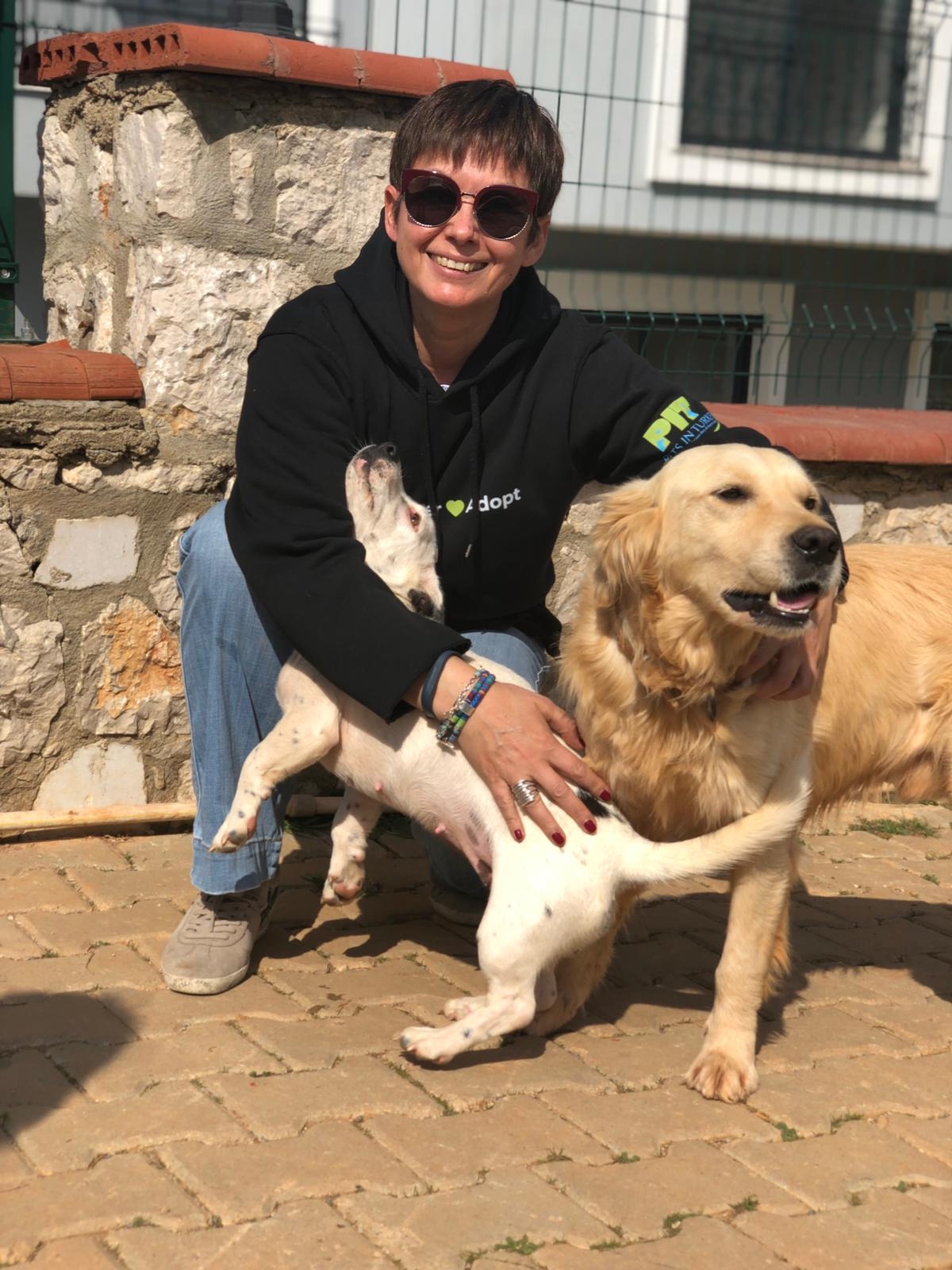 ABANDONED DOGS AND CATS NEED YOUR HELP!