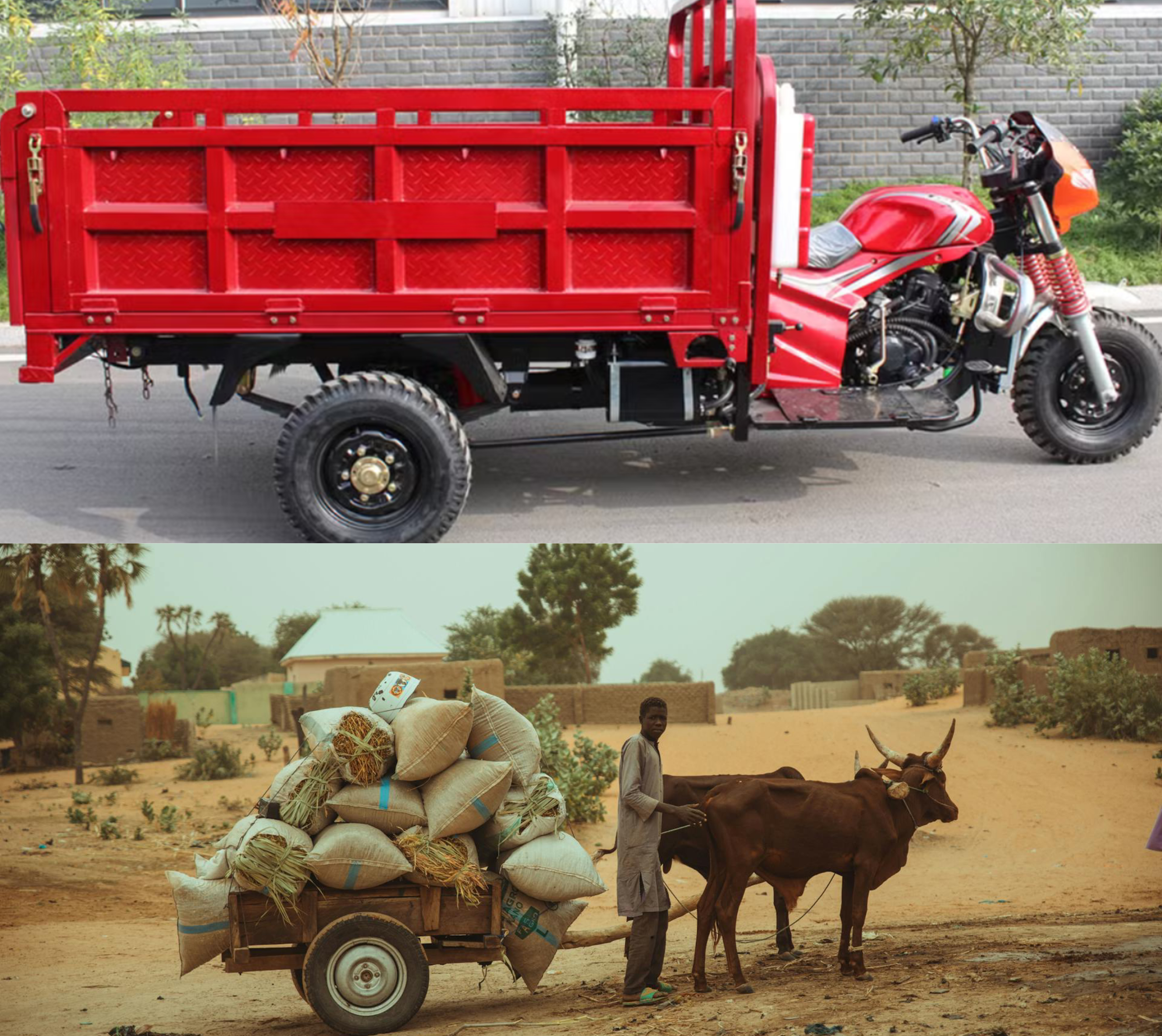 End Animal Cruelty in 7 Villages with 35 Tricycles