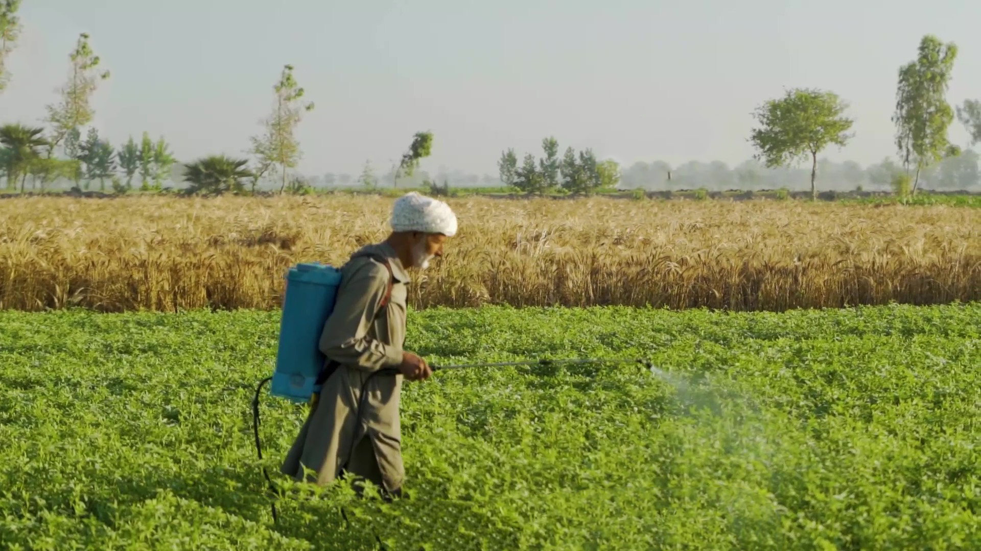 Help Farmers in Hardship: Give Hope, Not Interest