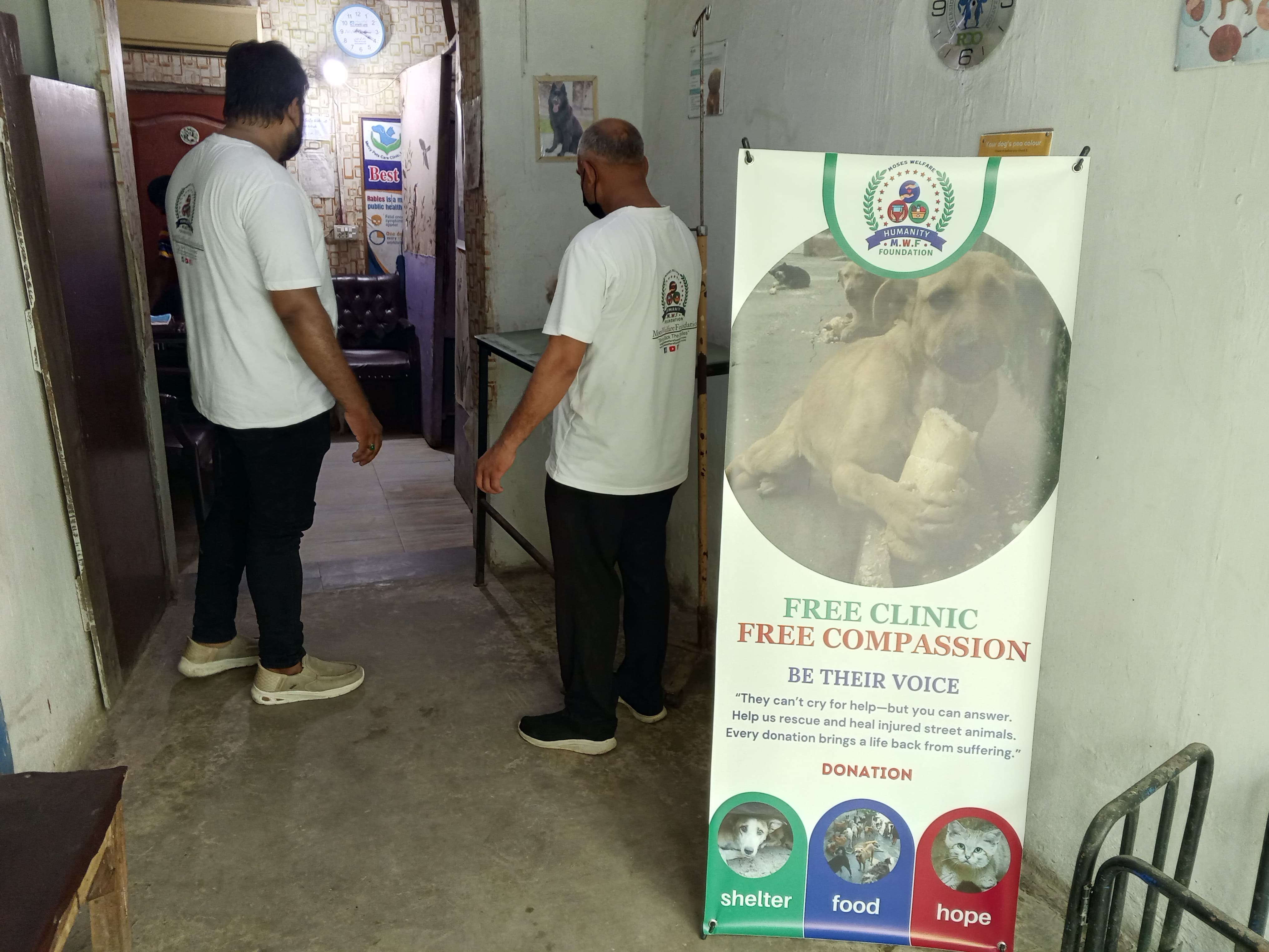 "Wounded & Alone-Stray Souls Need You in Pakistan"