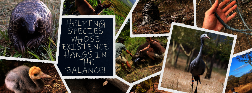 Support Scales' Conservation Mission