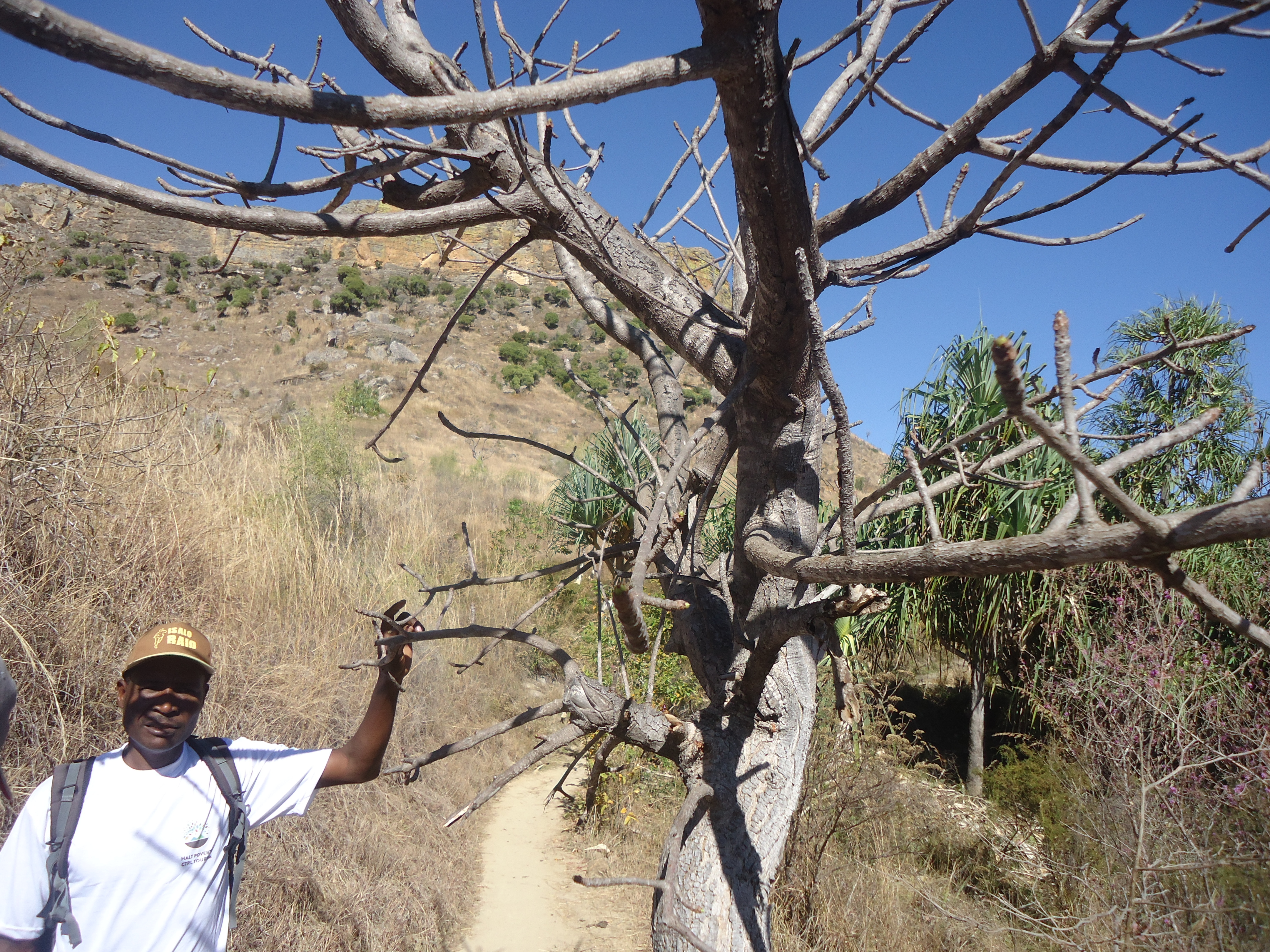 Halt Poverty with Skills Development