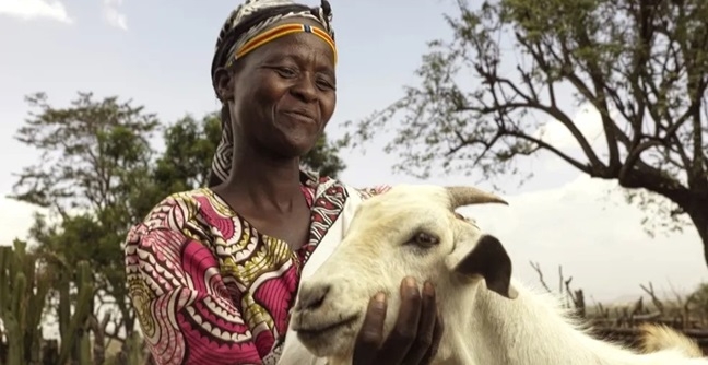 Give a Goat: Help 2,000 Ethiopian Women