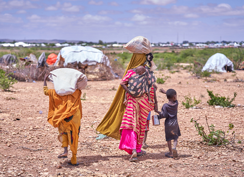 Hope under a Roof: Building Safe Shelters