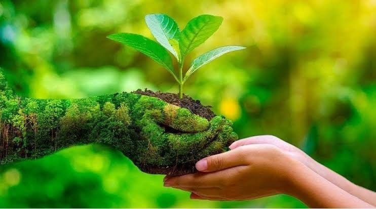 Natural Ecosystem Augmentation and Transformation