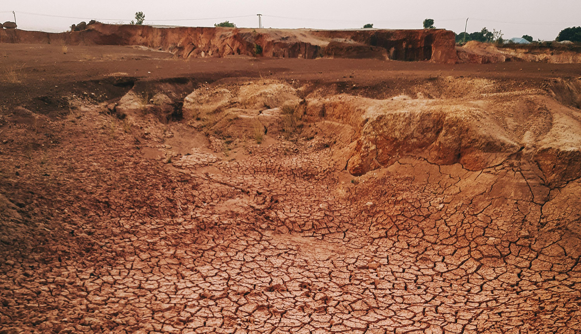 Restore Ankpa Nature Forest: Plant 100,000 Trees