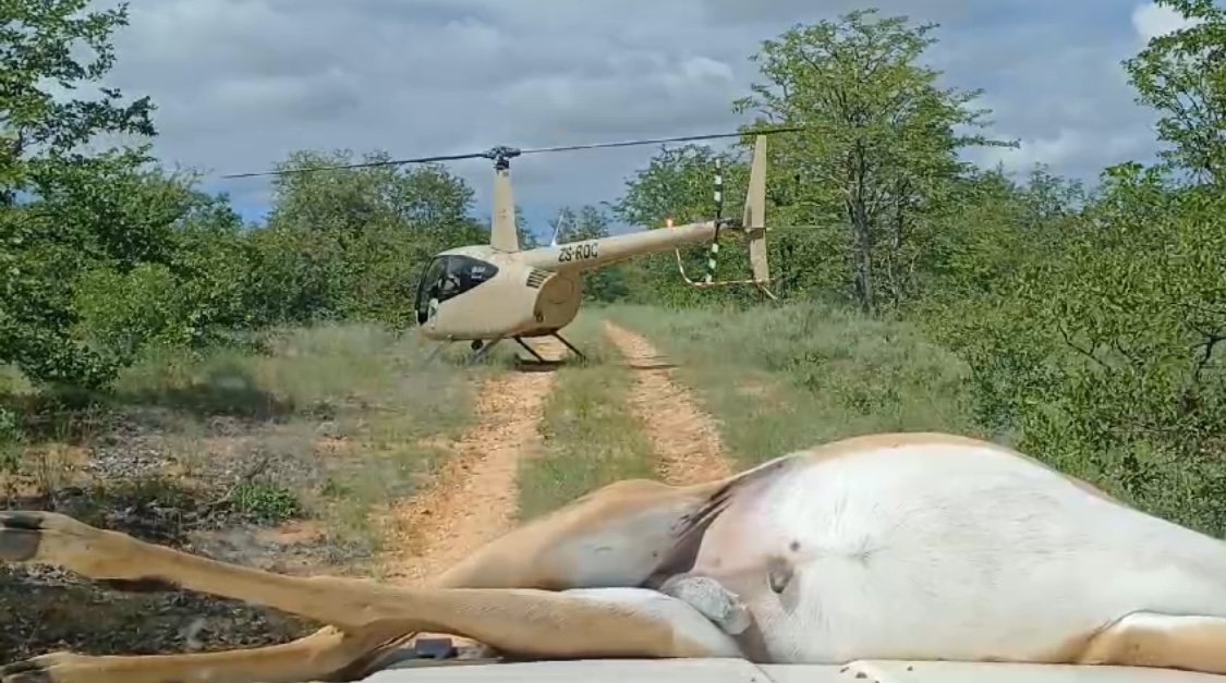 Help Fund Flights for Wildlife Protection