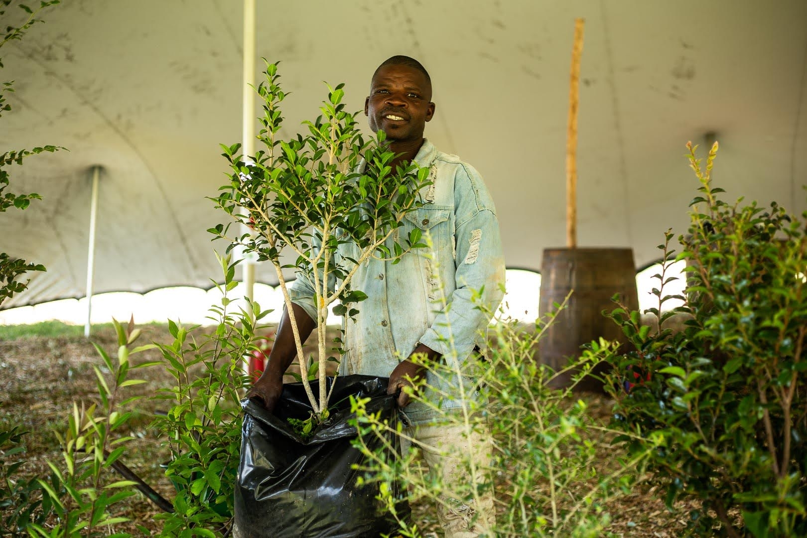 Restore Forest Ecosystems In Sub-Saharan Africa