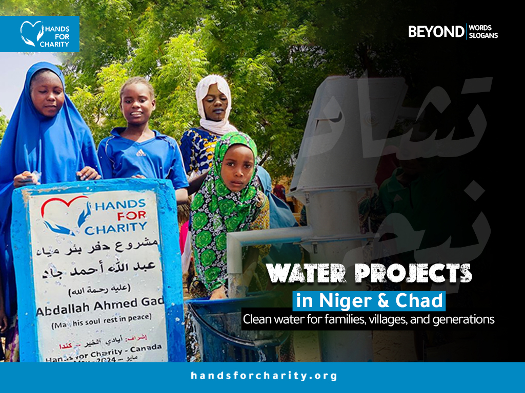 Water Well Projects in Niger and Chad