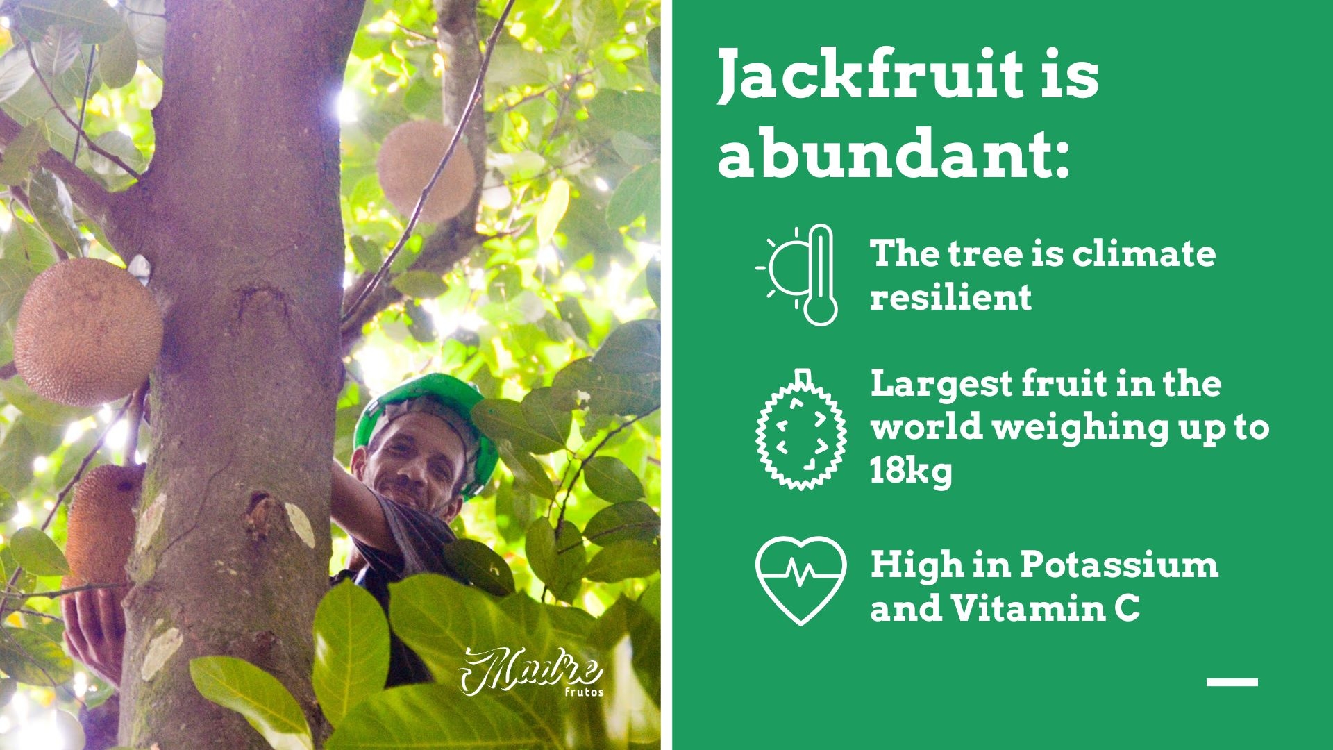 Jackfruit Donations for Community Kitchens in Rio