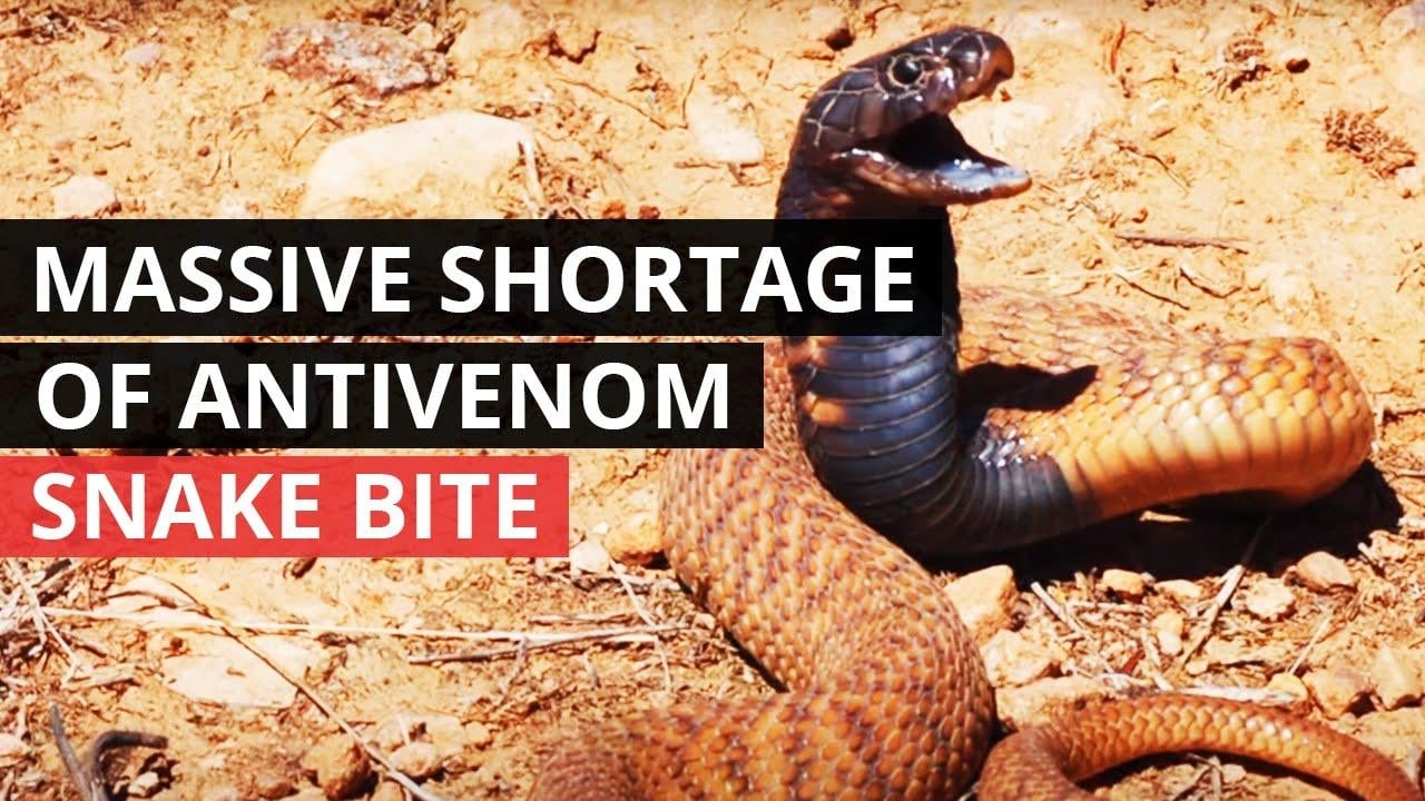 Help Nigerian Villages with Snakebite Treatment