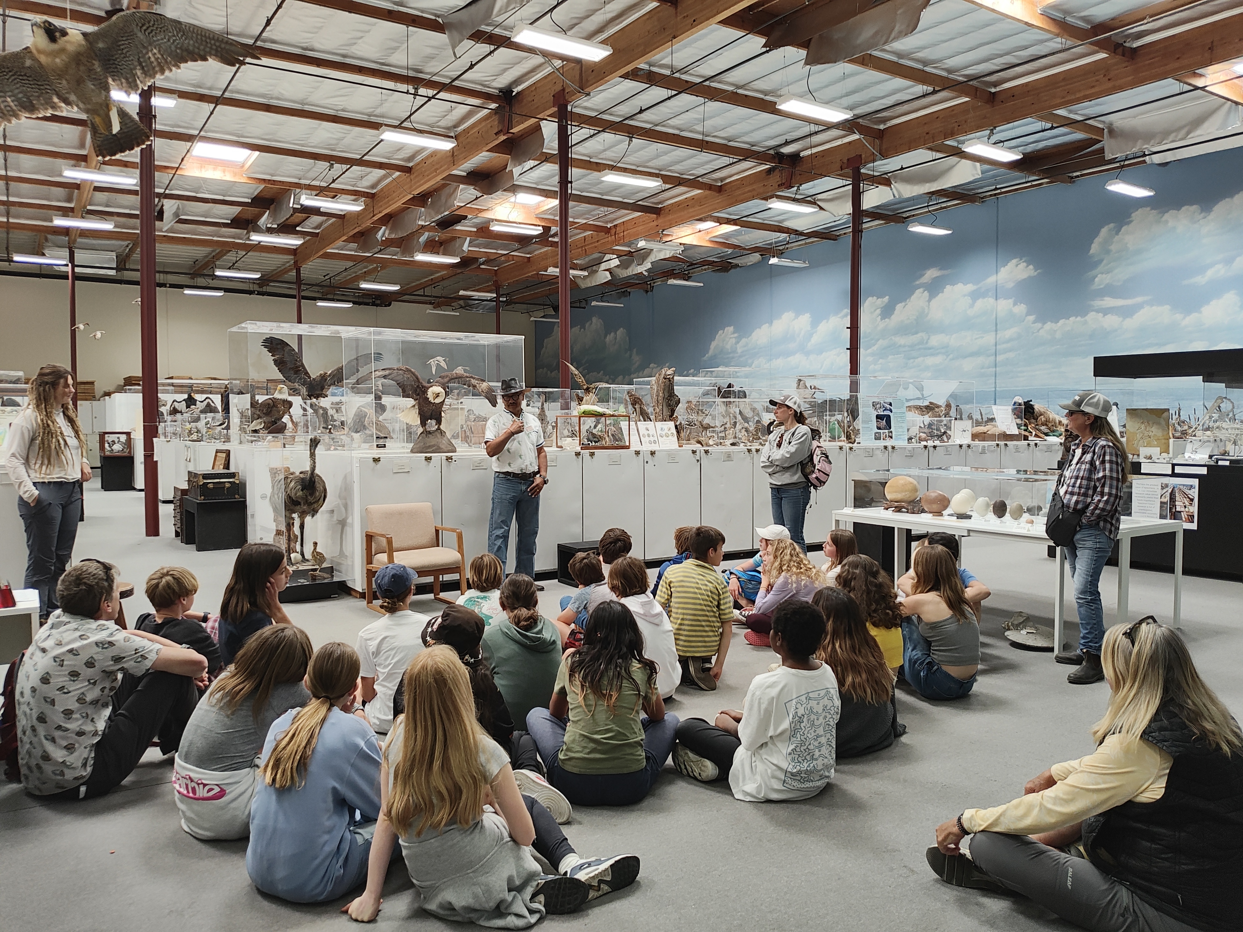 Expanding Access and Learning at the Bird Museum!