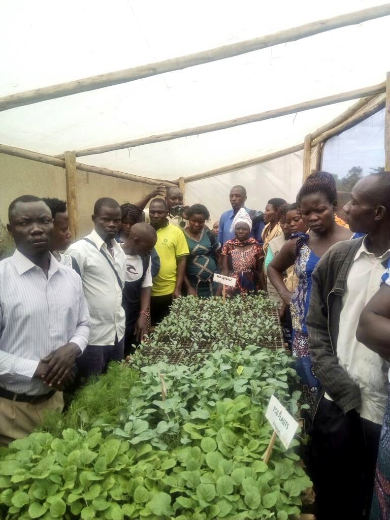 Empowering Rural Women Through Vegetable Farming