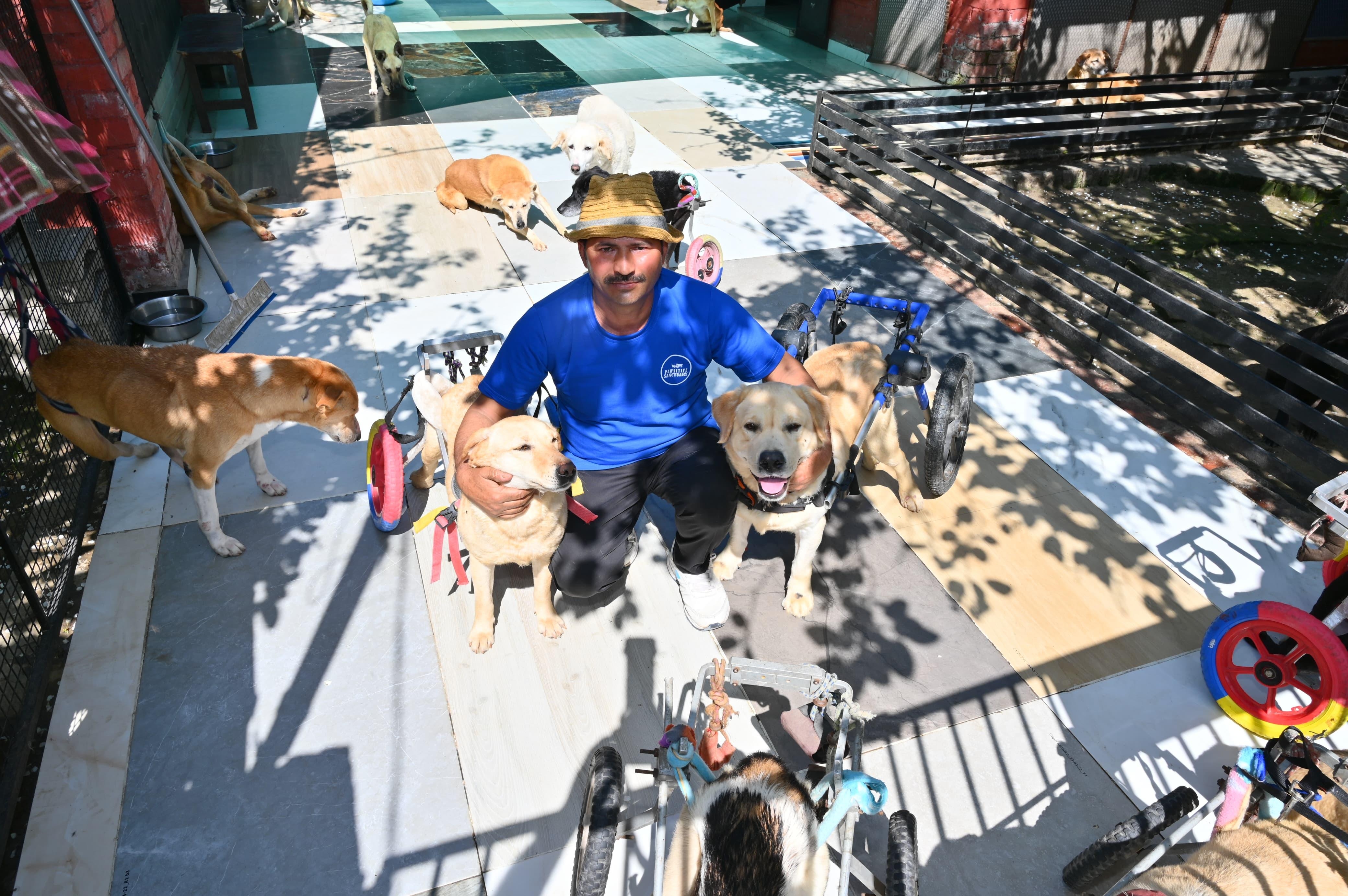 Expand Pawsitive Sanctuary to Save More Stray Anim