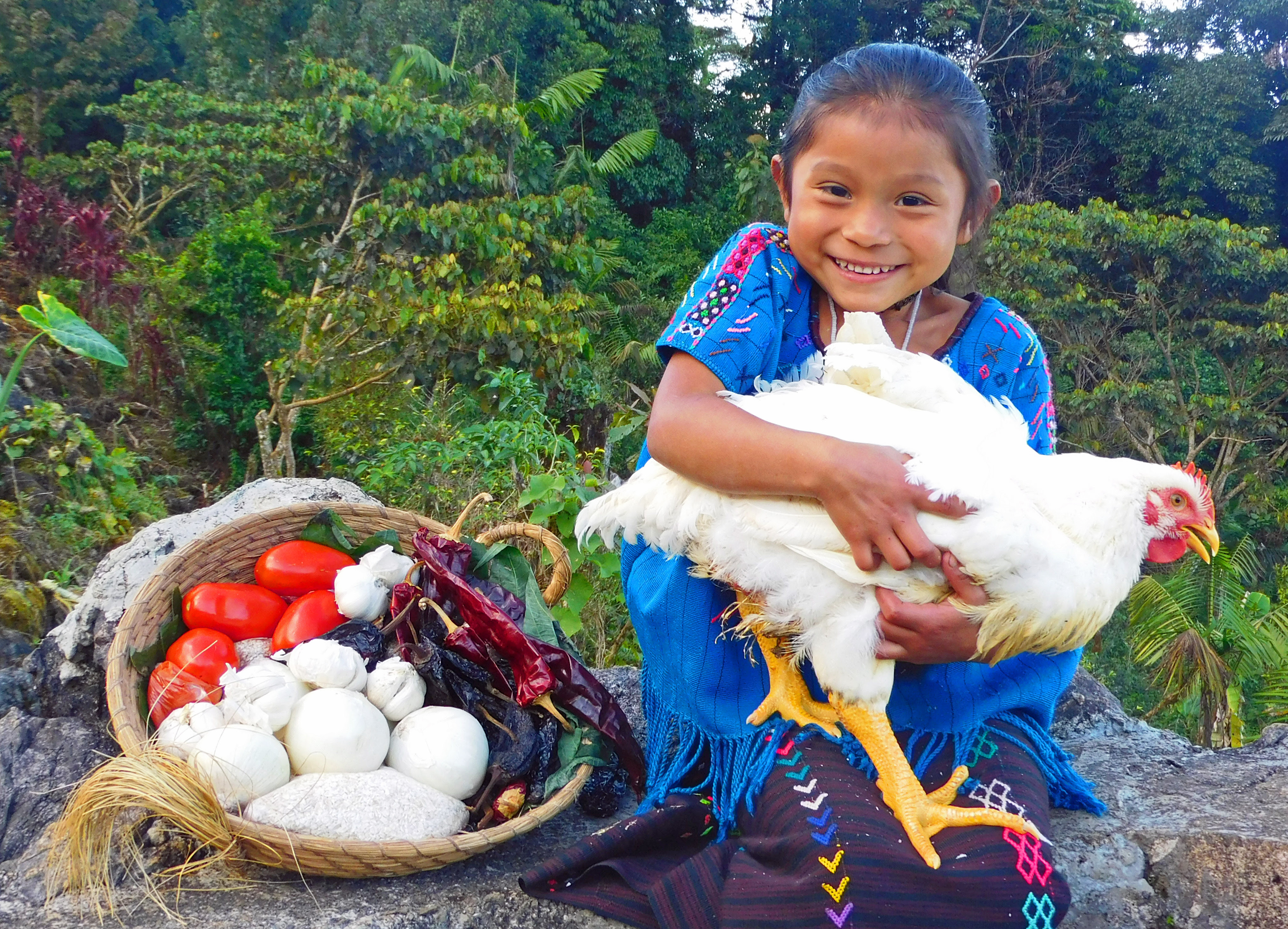 Gift a Holiday Meal Basket to 40 Maya Families