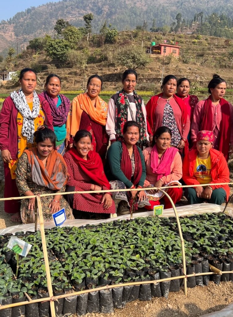 Give a livelihood support for 570 Marginal Women