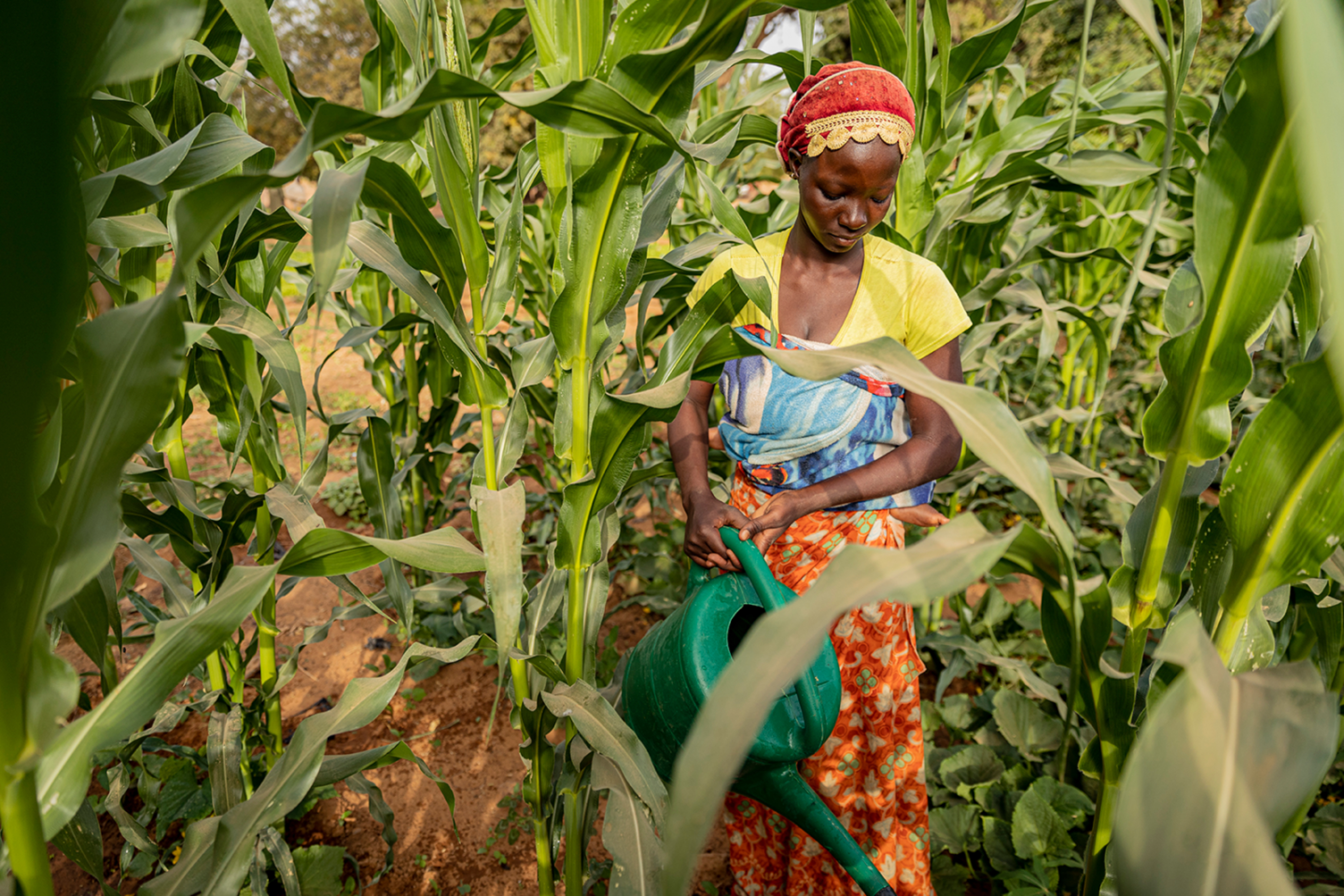 Fight Hunger & Food Insecurity in S/West Nigeria